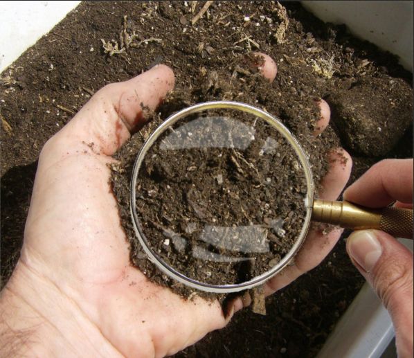 Soil under a microscope